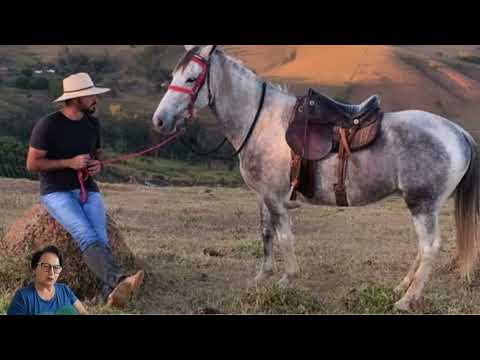 Eu,  Deus e Minas Gerais