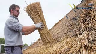 Renovatie en onderhoud rieten dak blank verstoppen | Den Hartog Riet, Hout en Schoorstenen