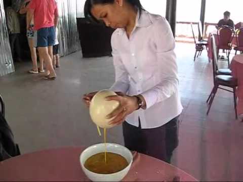 download lagu mp3 mp4 Oeuf D Autruche Omelette, download lagu Oeuf D Autruche Omelette gratis, unduh video klip Oeuf D Autruche Omelette