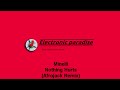 Minelli - Nothing Hurts (Afrojack Remix)