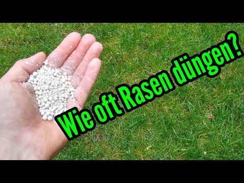 How often should lawn be fertilized? How often should lawn be fertilized? Fertilizing the lawn