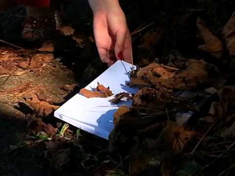 video thumnail