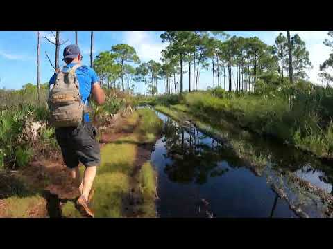 Savannas Preserve State Park - 6 mile Ruck - 2023-09-23