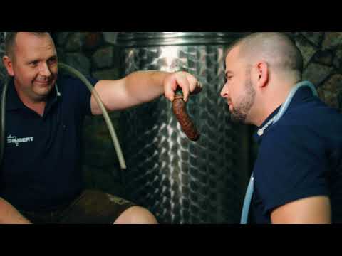 duo SAJBERT – Jaj pa pj (Official 4k video) 2023