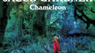 Jacco Gardner - Chameleon