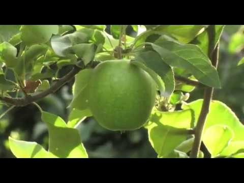 Može bolje ep. 35 NAJAVA