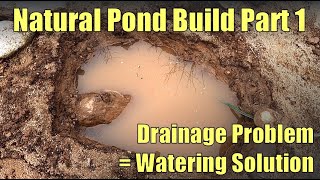 Turning a Drainage Problem into a Natural Pond Part 1