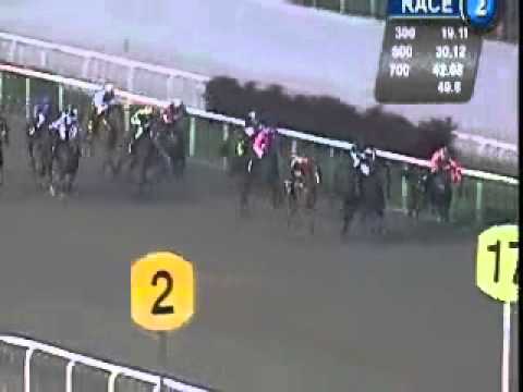 20101008 SG RESTRICTED MAIDEN 2 & 3YO 1100M (POLYTRACK) - BRIAN (R Fradd)