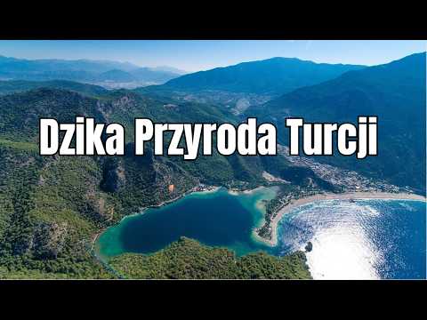 Dziki Stambuł | Niezwykła Przyroda Turcji | Film Przyrodniczy