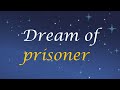 What does it mean to dream about prisoners?