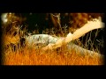 Tujhe Bhoolna To Chaha Lekin Bhula Na Paye Full Song Bewafa Sanam Hits Of Ataulla Khan
