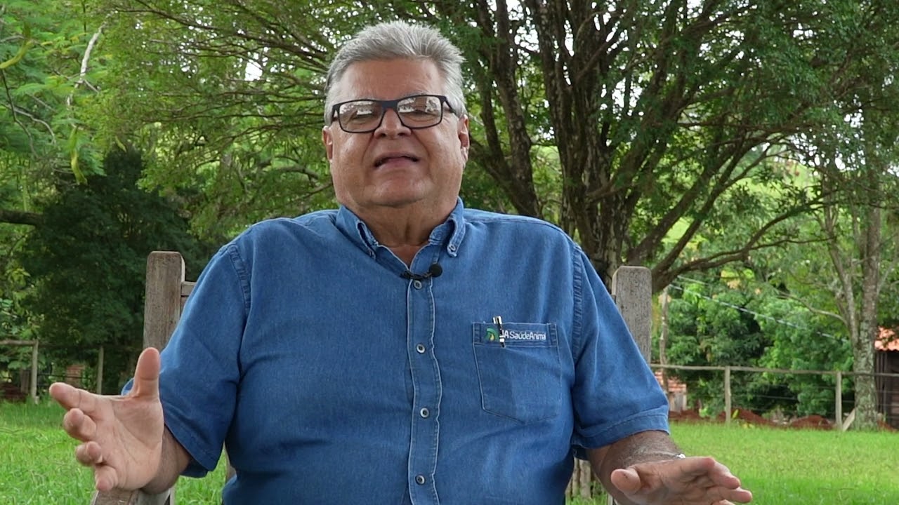 JA Online - Desidratação em bezerros