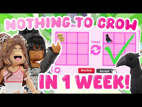 We traded from nothing to CROW in one week! (Ft.  ⁨@siIIymimi⁩)