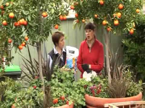 The Garden Tap - GrowBetter Program 02