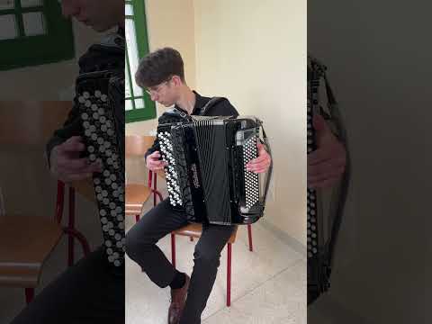 Fisitalia Bayan B 64