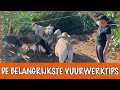 Hoe kom je Oud & Nieuw door met je huisdieren? | DierenpraatTV