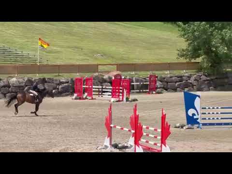Avalanche Van’t Leeuwerik video 2
