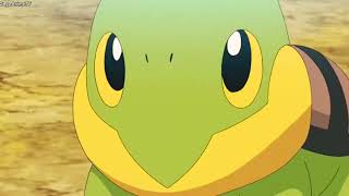 Turtwig beautiful eyes