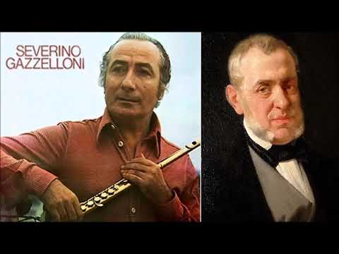 Saverio Mercadante (1795-1870)  Flute Concerto in E minor