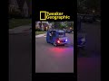 Tweaker Geographic Episode 104: “Methazon Prime”