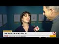 Dick Wolfsie Flies Into The Pigeon And Pals At The Children S Museum Part 1