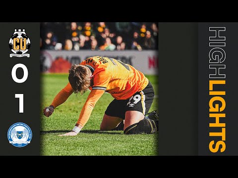 bg-highlight