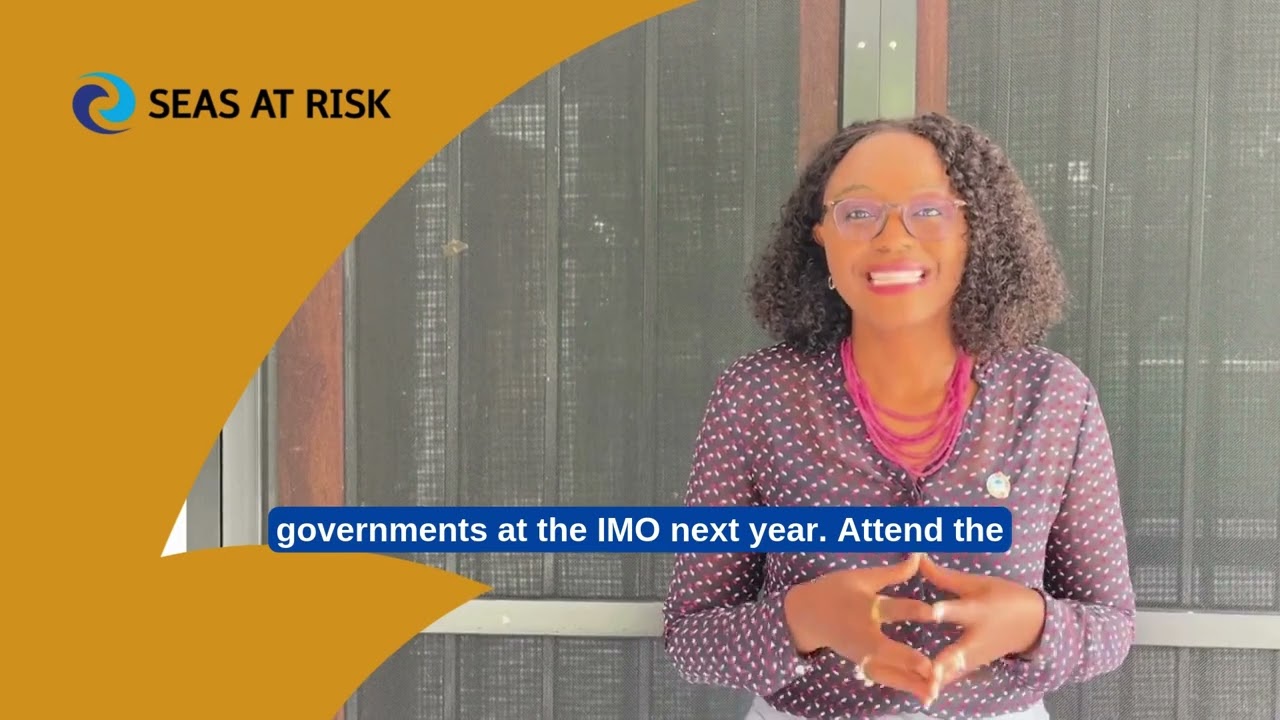 Attend the 2025 IMO climate talks and have your say