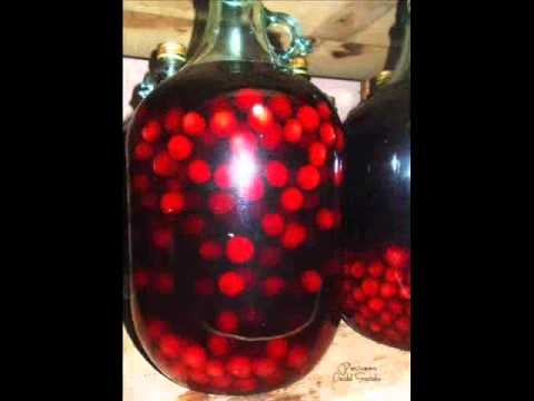 Pensiunea Dealul Sasului Dambovicioara