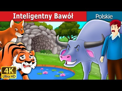 Inteligentny Bawół | The Intelligent Buffalo Story in Polish @PolishFairyTales