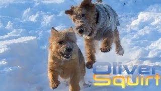 Tracey Thorn "Kings Cross" (Hot Chip Remix) Oliver Squirt & Percy