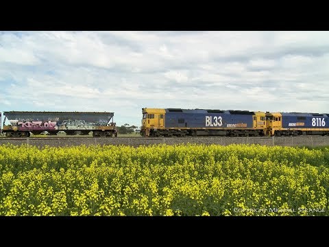 Two Diesel Locomotives Attach To Grain Hoppers (5/9/2019) - PoathTV Australian Trains & Railways