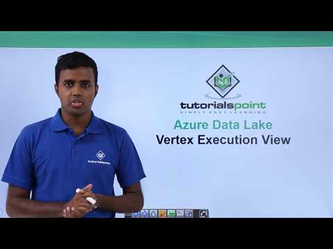 Vertex Execution View