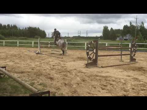 Quality Time x Concorde