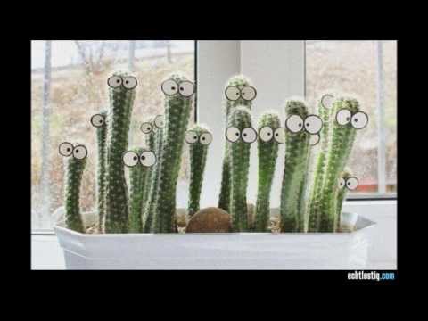 Kaktus - U-Bahn-Kontrollöre in tiefgefrorenen Frauenkleidern
