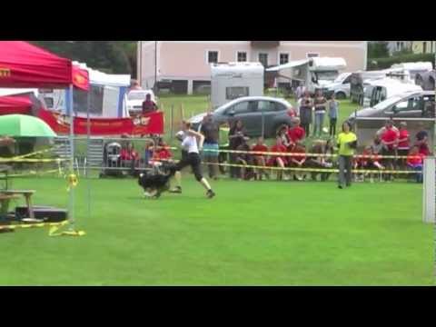 Agility European Open 2011 Manschaft