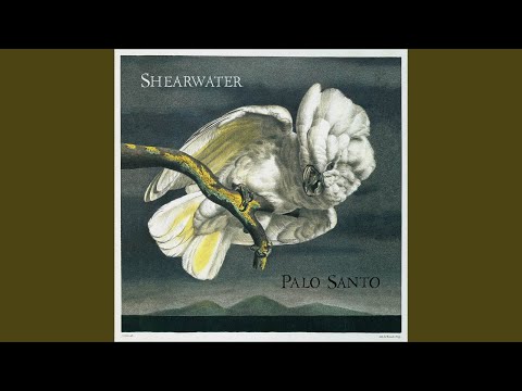Hail, Mary - Shearwater