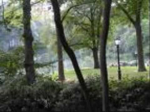 John Marshall Quintet- New Girl