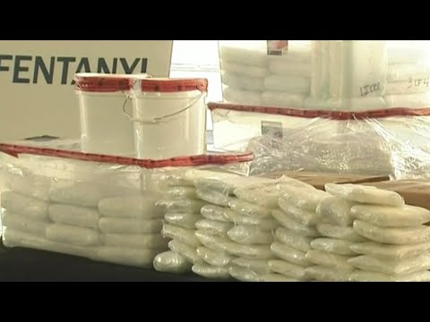 Feds make largest fentanyl drug bust in US border history