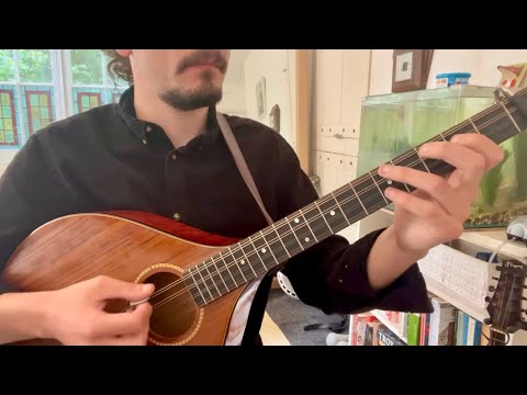 Irish Bouzouki Lesson - Tabhair Dom Do Lámh Part 1