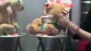 Anything A Bear Can Do-John Barrowman