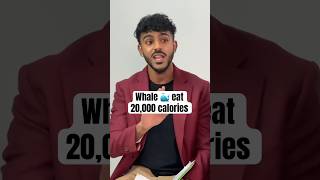 Download lagu Brian can eat 20,000 calories? #sasisavage #malaysia #fivebs #whale mp3
