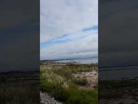 Laguna mar chiquita