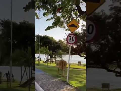 🏝️Chegando em Porto de Pedras #maceióalagoas #praiasdonordeste