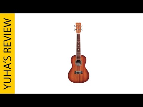 Best Electric Ukuleles 2025 - Top 5