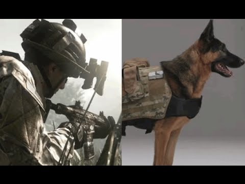 Call of Duty Ghosts: meet the real dog that plays Riley
