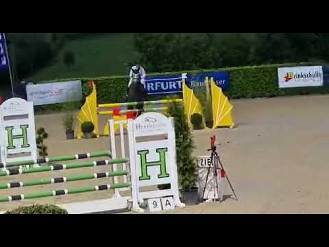 KENSINGTON (6yo Zirocco Blue) 07.21 Lindlar - 1. Platz SPF L 8,8