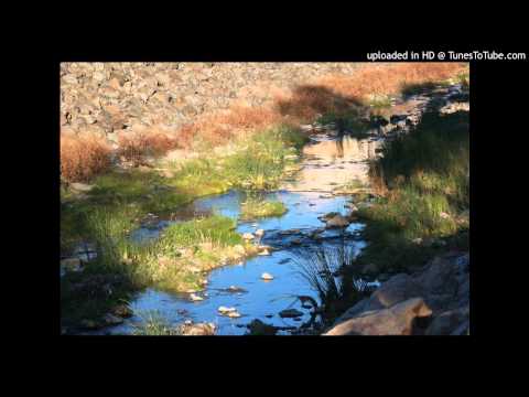 Today's Tango Is... El Arroyito - Francisco Canaro 14-07-1936