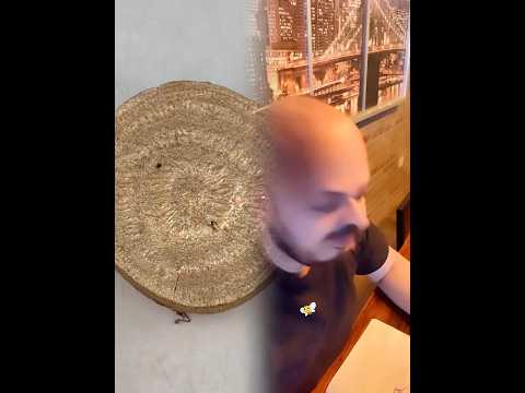 - QUANDO LA MAMMA TI CONTROLLAVA I COMPITI CON I GUANTI DA CUCINA#fypviralシ #foryou