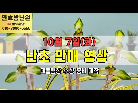 유튜브 썸네일