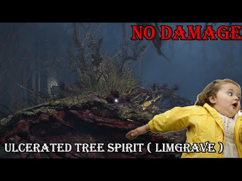 Beating Ulcerated Tree Spirit ( Limgrave ) Troll Boss in Elden Ring no damage Boss 18